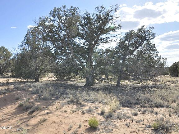 5th image of 176 County Road 5549 N