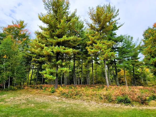 State Highway 84 NE, Longville, MN 56655