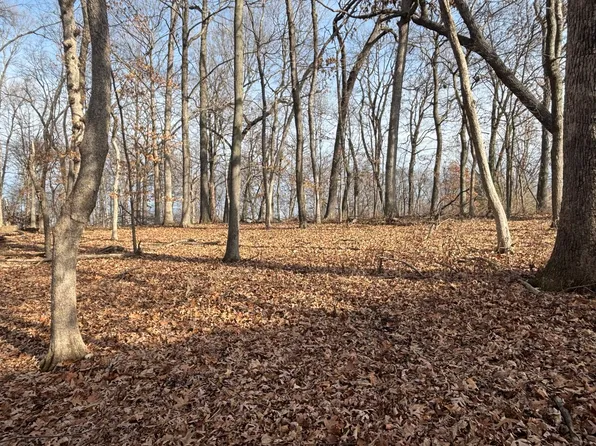 1096/97 Lake Wildwood Dr, Varna, IL 61375