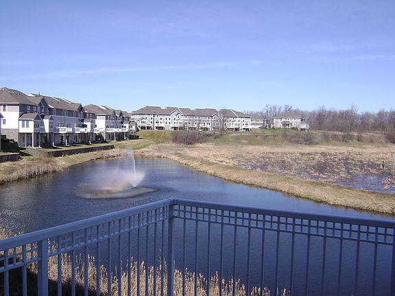 View from deck-summer