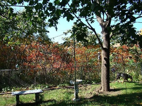 Private Backyard, closest to back fence