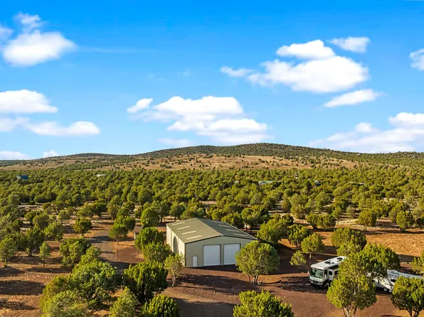 61 County Road 3114, Vernon, AZ 85940
