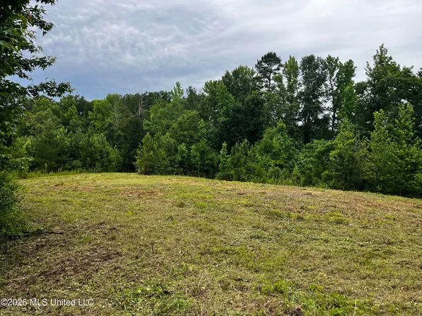 Cline Rd Lot 3, Wesson, MS 39191