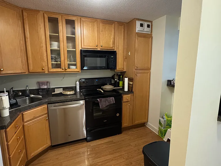 405 N Wabash Ave #209 — Photo 4