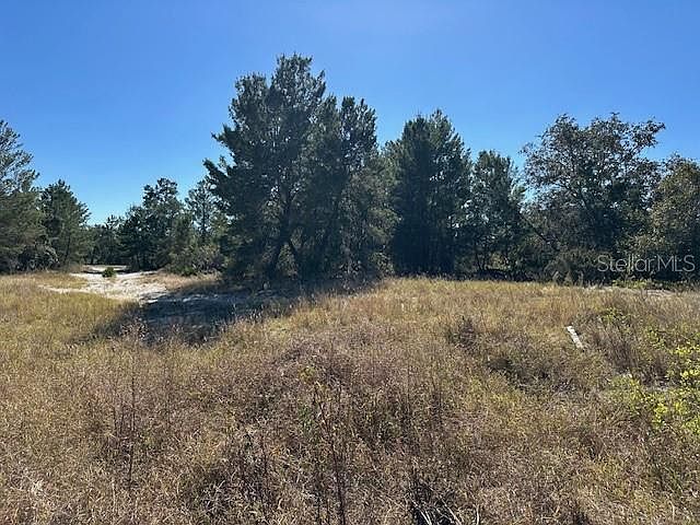1st image of 256 Hibiscus Ln #37