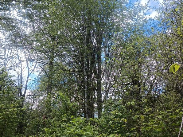 839 Lot 19 Cline Road, Randle, WA 98977