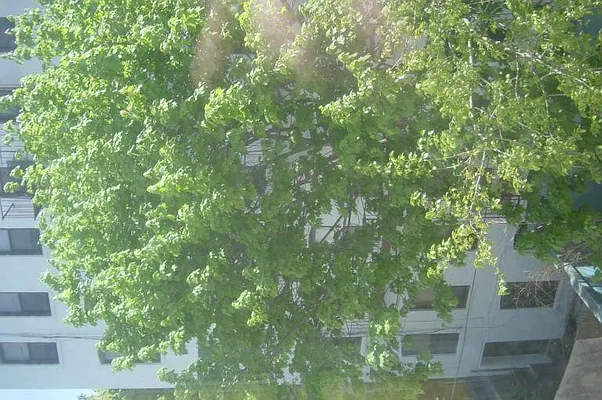 Rented by Location Location Location | media 10