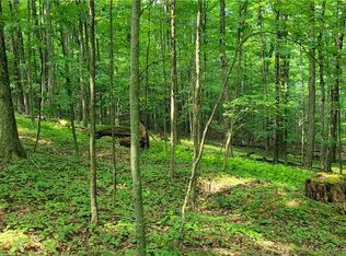 Hagerman Rd, Waverly, NY 14892