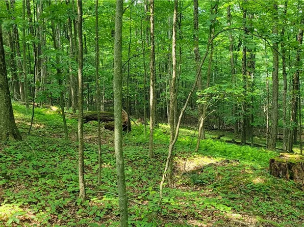 Hagerman Rd, Waverly, NY 14892