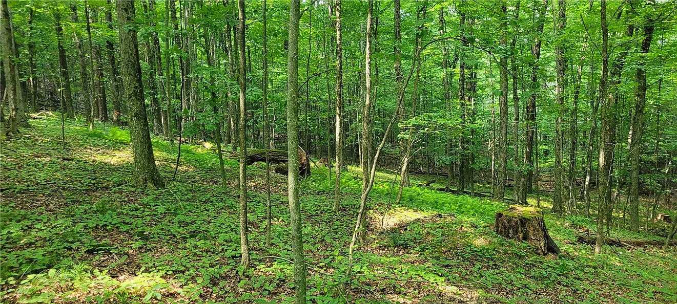 Hagerman Rd photo 1