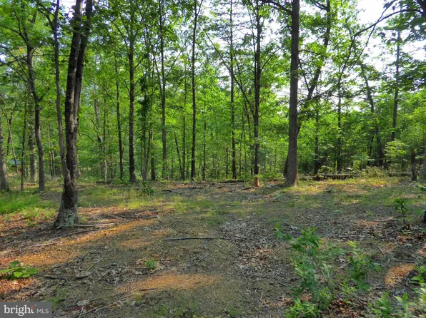 10 Jennifer Ln, Shanks, WV 26761