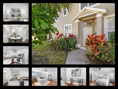 2823 Newbern Way, Clearwater, FL, 33761