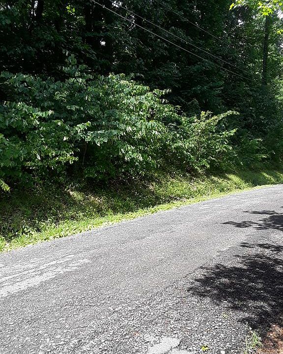 1st image of 0 Hickman Shores Rd