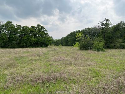 County Road 458, Normangee, TX, 77871