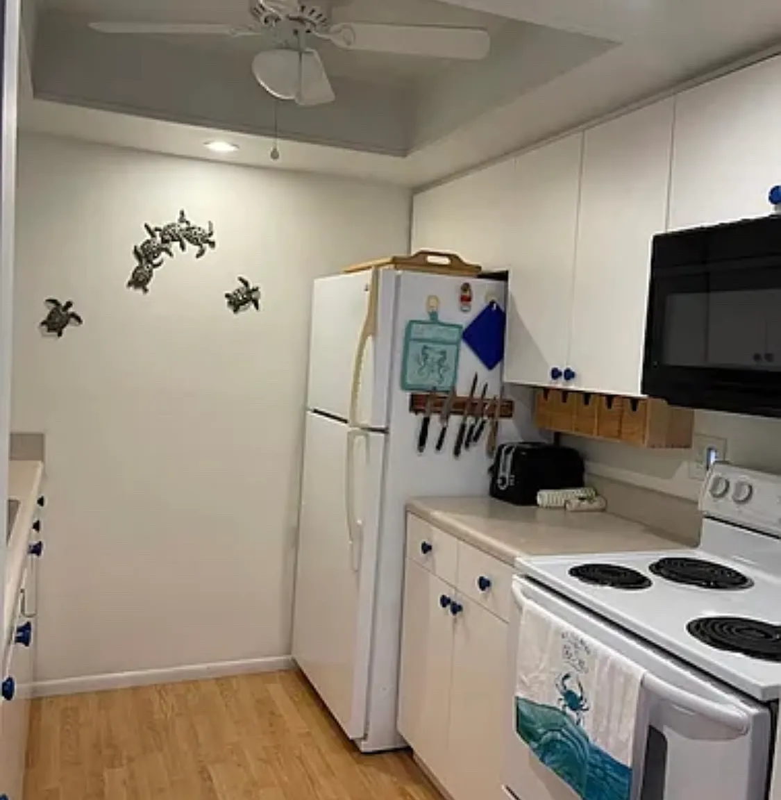 1 bed, 551 sqft, $1,250 — Photo 2