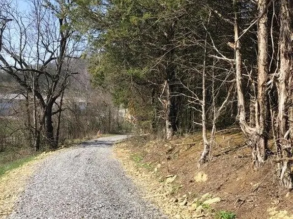 W Andrew Johnson Hwy, Bulls Gap, TN 37711
