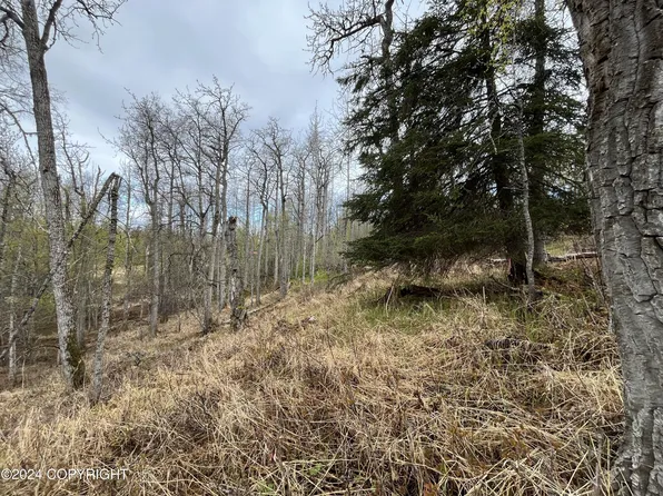 53625 Kenai Spur Hwy, Kenai, AK 99611