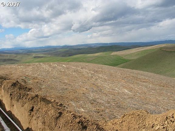 Nice rolling hills with a view