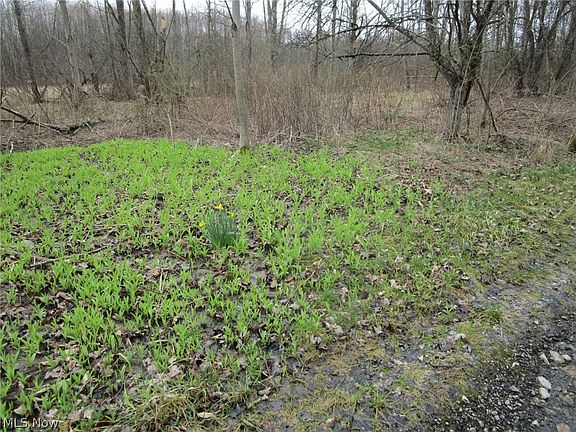 2nd image of 4381 Higley Rd