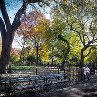 Rented by Alpha Properties NYC I LLC | media 23