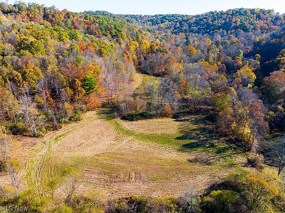 3rd image of Plum Rd