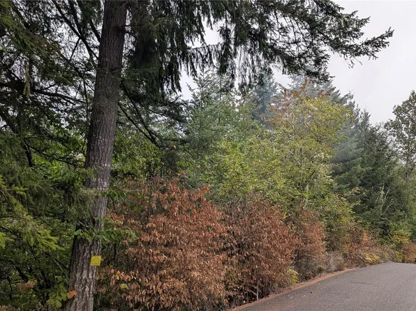0 Loop Road, Centralia, WA 98531