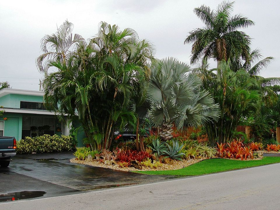 Front Yard 2740 NE 16 AVE 