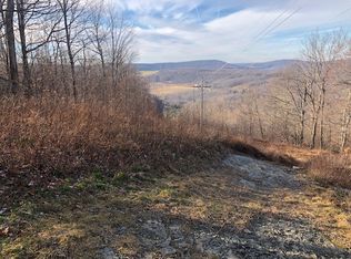 79 Barnes Rd, Windsor, NY 13865