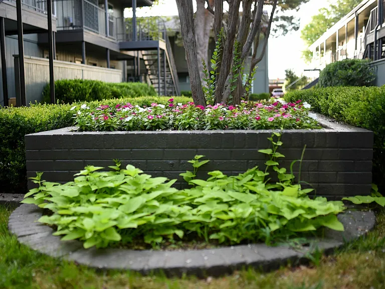 Grounds