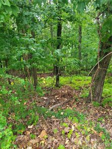 33 Beech St, Harveys Lake, PA, 18618