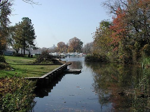 Bulkhead And Creek View