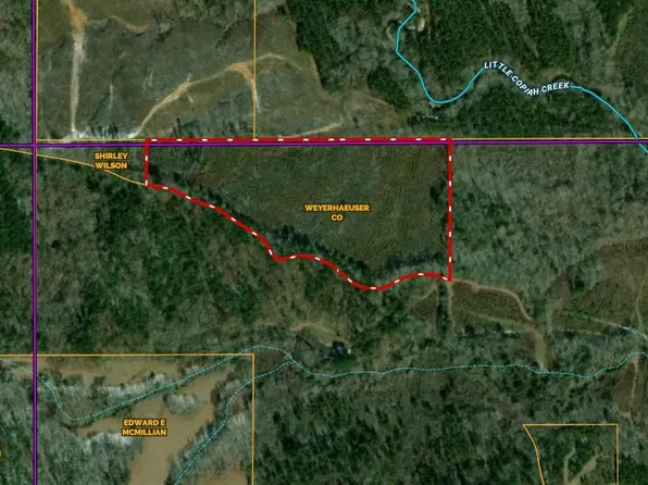 Pitts Ln, Crystal Springs, MS 39059