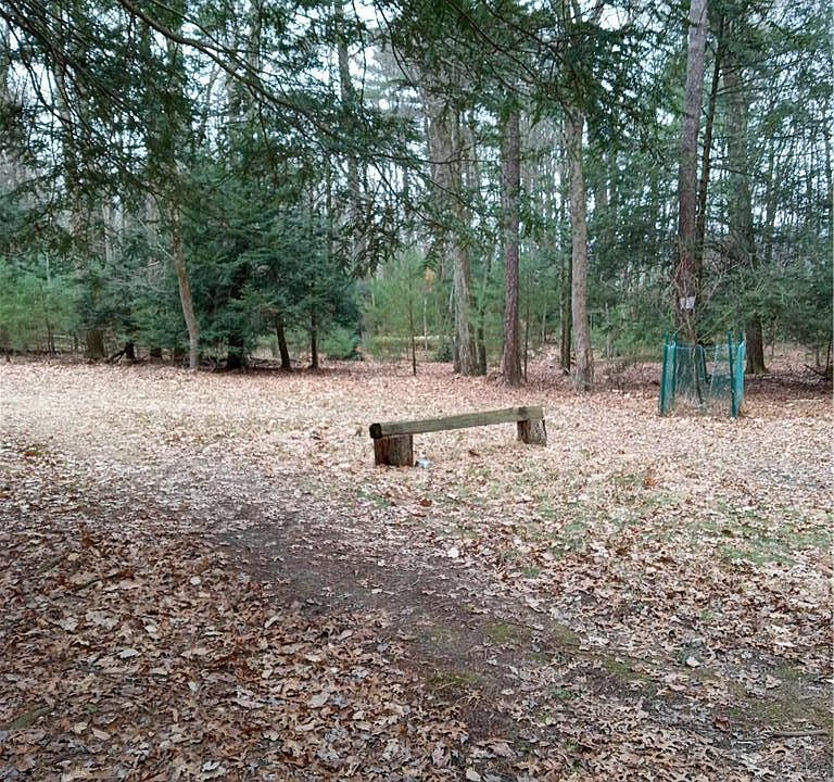 1st image of Bear Dr