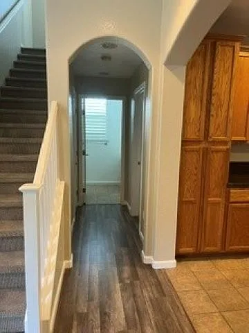 3856 Purple Finch Ln — Photo 3