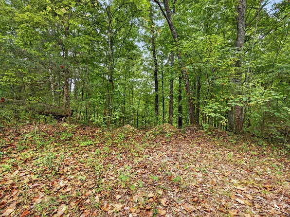 28 Timber Ridge Ln #Phase Ii, Celina, TN 38551