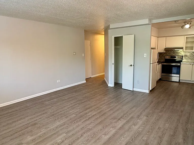 1121 N Ogden St #302 — Photo 11