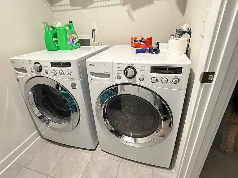Laundry Room (dog not included)