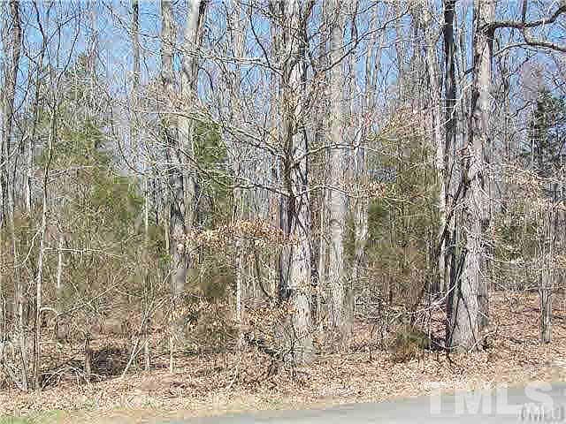 2nd image of Iron Wood Dr Lot 53