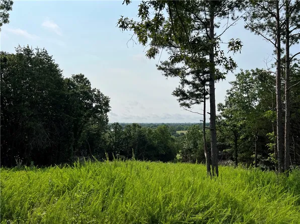 N Center Loop, Harrison, AR 72601