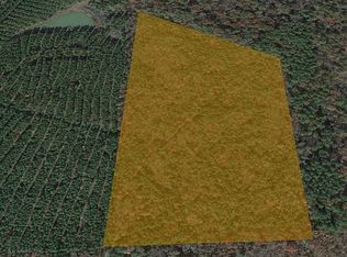 0 Farrington Rd #1, Plain Dealing, LA 71064