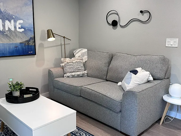Very comfortable sofa with fold out queen sofa (upgraded, comfy mattress)