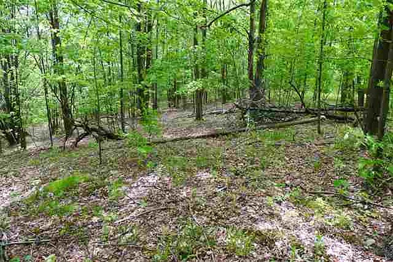 4th image of 372 HOLLENBECK Road