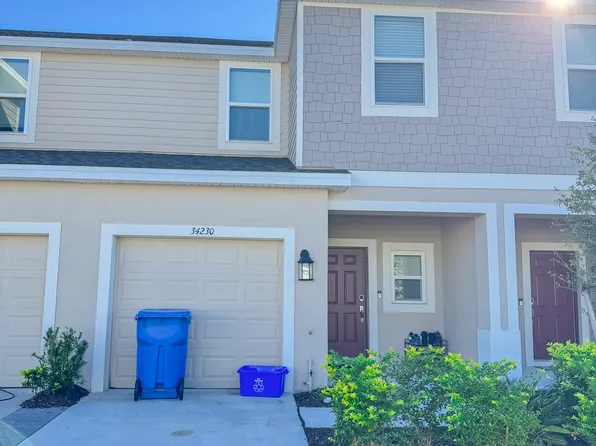 34230 Polacca Ln, Wesley Chapel, FL 33543