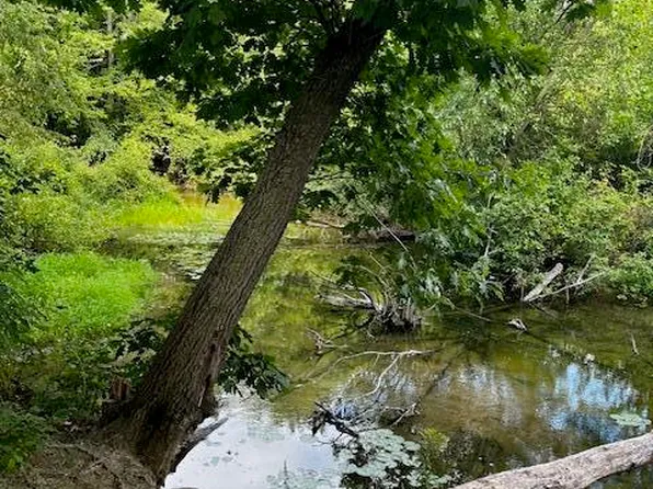 12808 Lincoln Lake Ave NE, Gowen, MI 49326