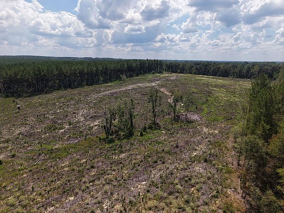 Dji Fly 20260903 121010 0097 1788877667866 Photo Jpg