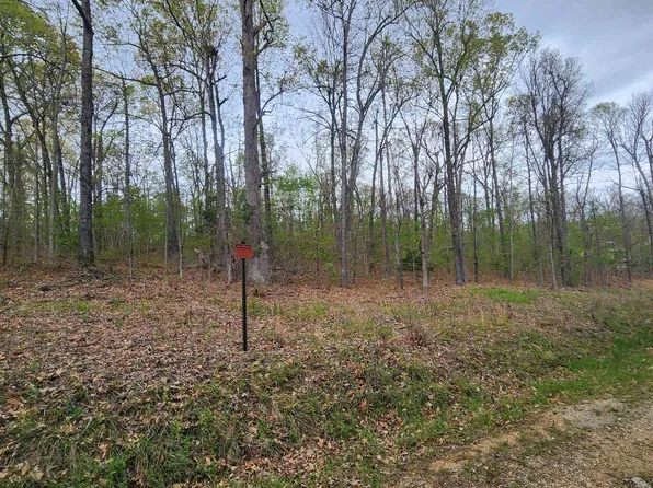 L-2 Applejack Ln #B, Williford, AR 72482