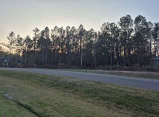 25179 Chisos Bnd, Montgomery, TX 77316