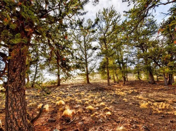 6206 Remington Rd, Como, CO 80432