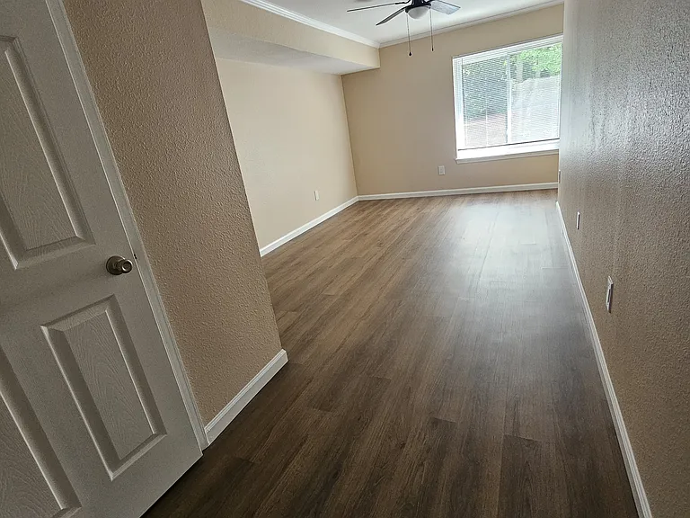 Pine View Apartments — Photo 9