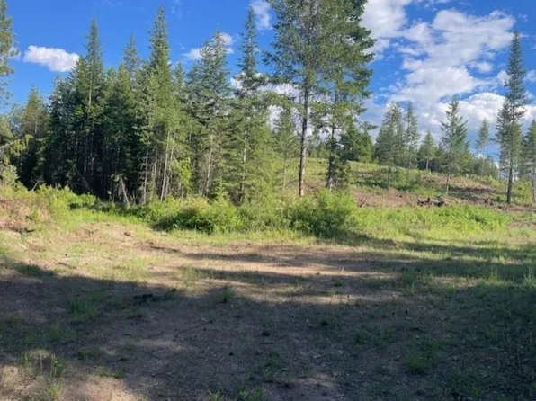Nkn Bead Lake Rd, Newport, WA 99156